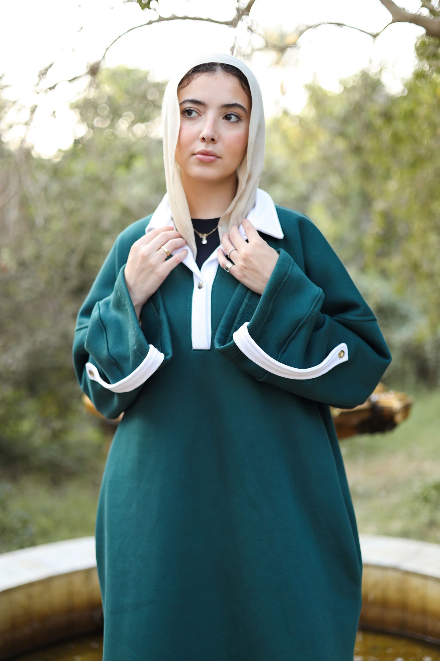 Collar Milton Dress