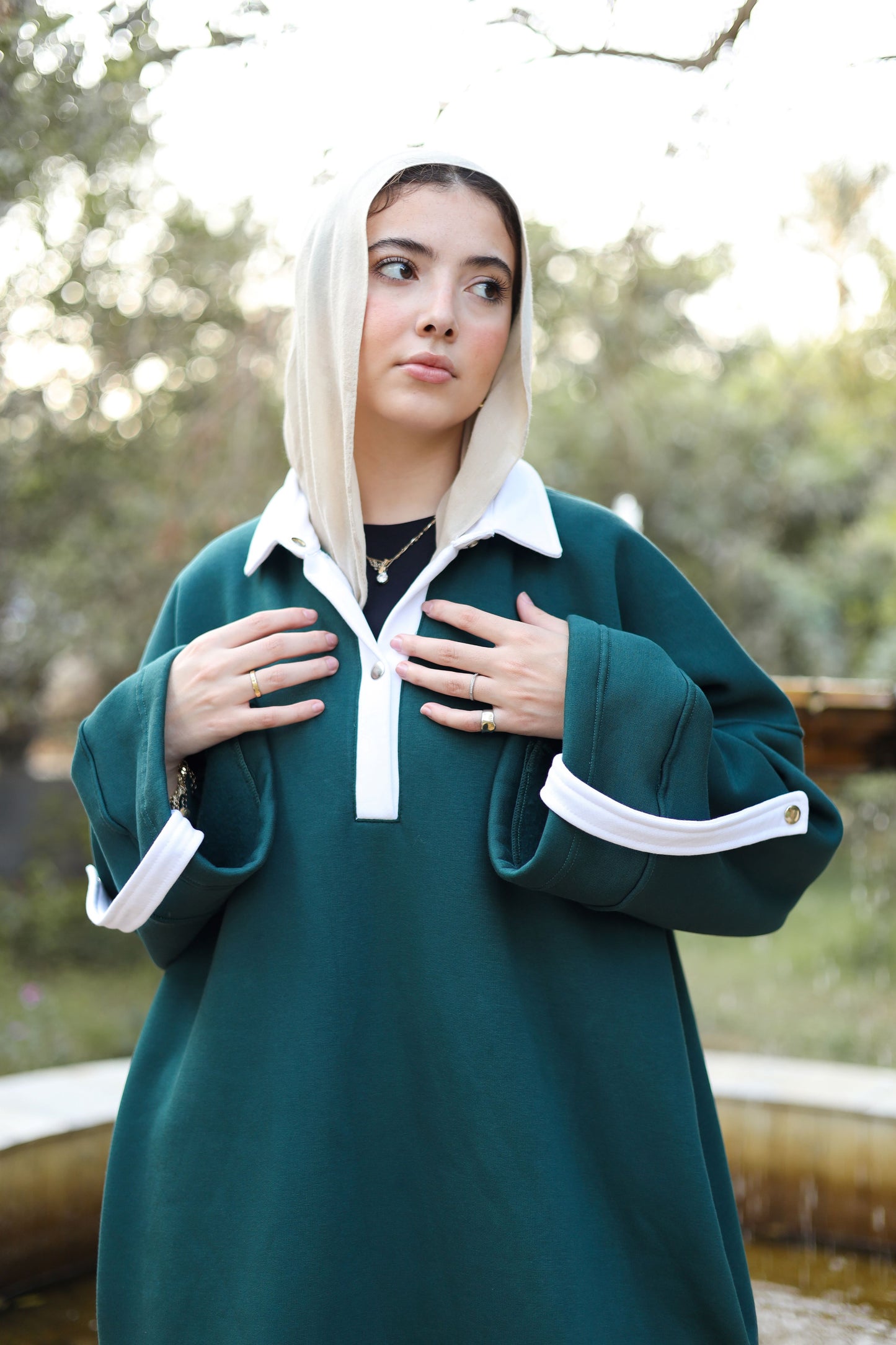 Collar Milton Dress