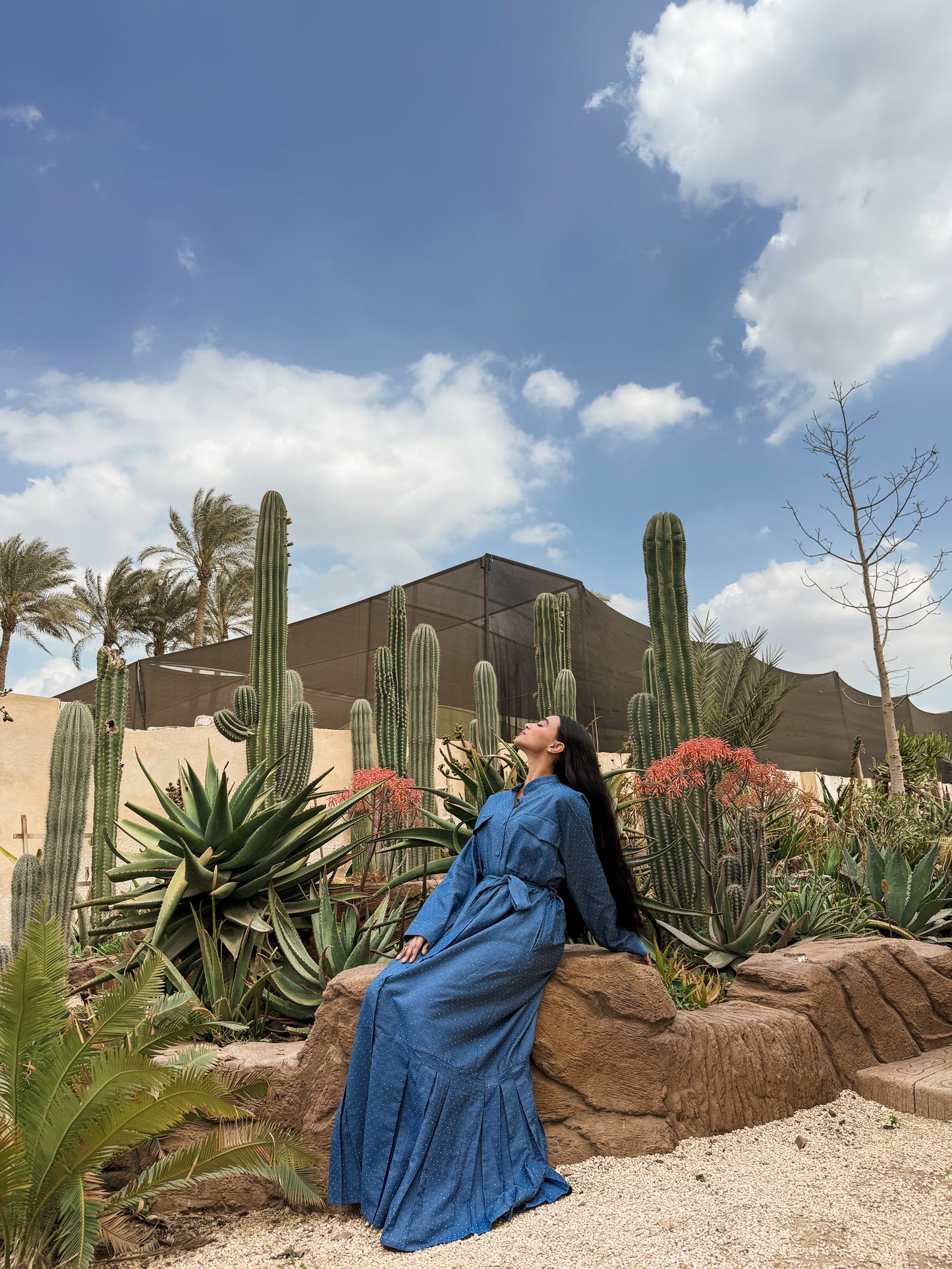 Sapphire Sands Dress