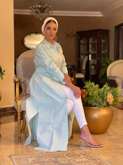 Mint Oxford Shirt Dress