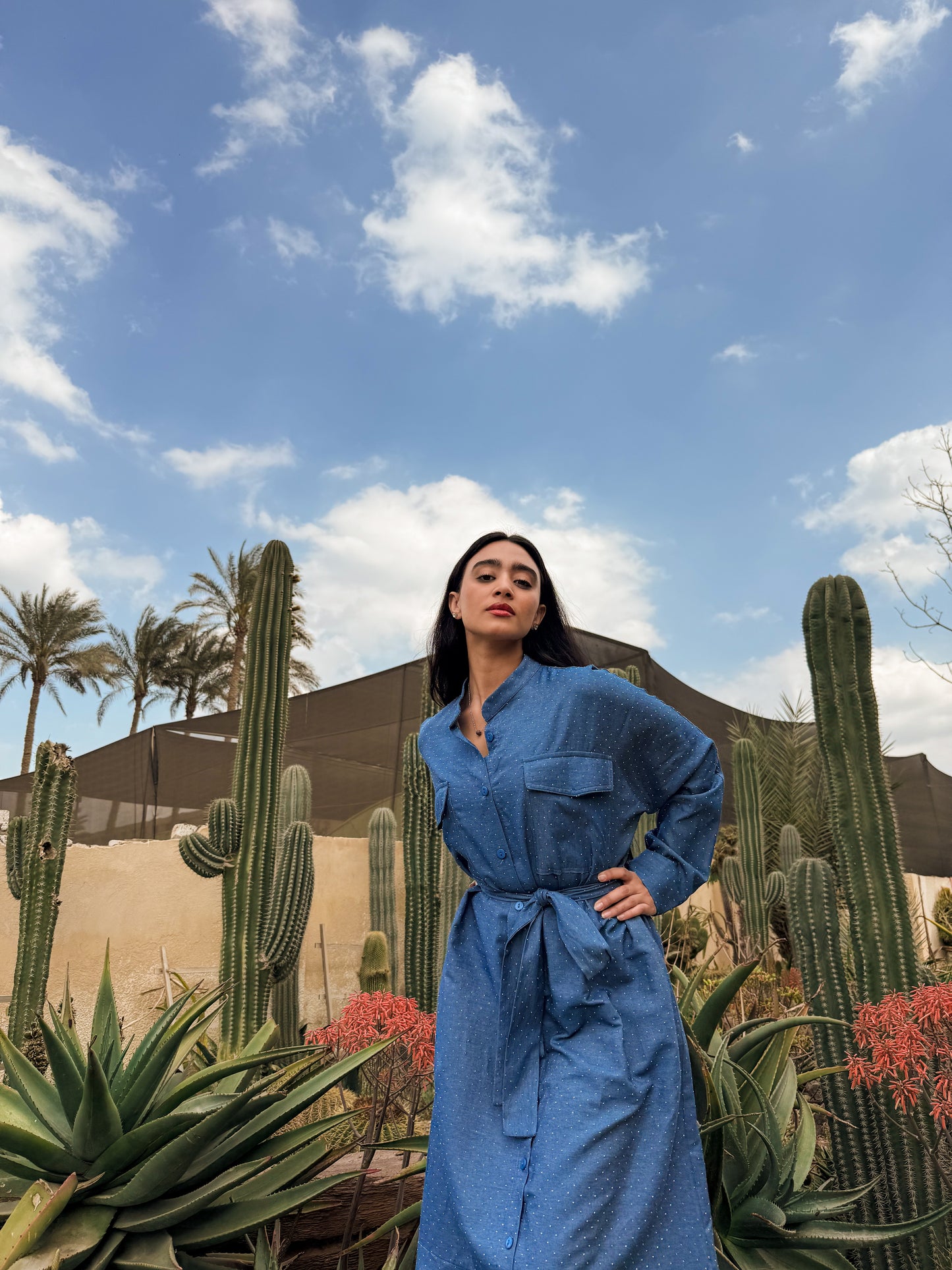 Sapphire Sands Dress