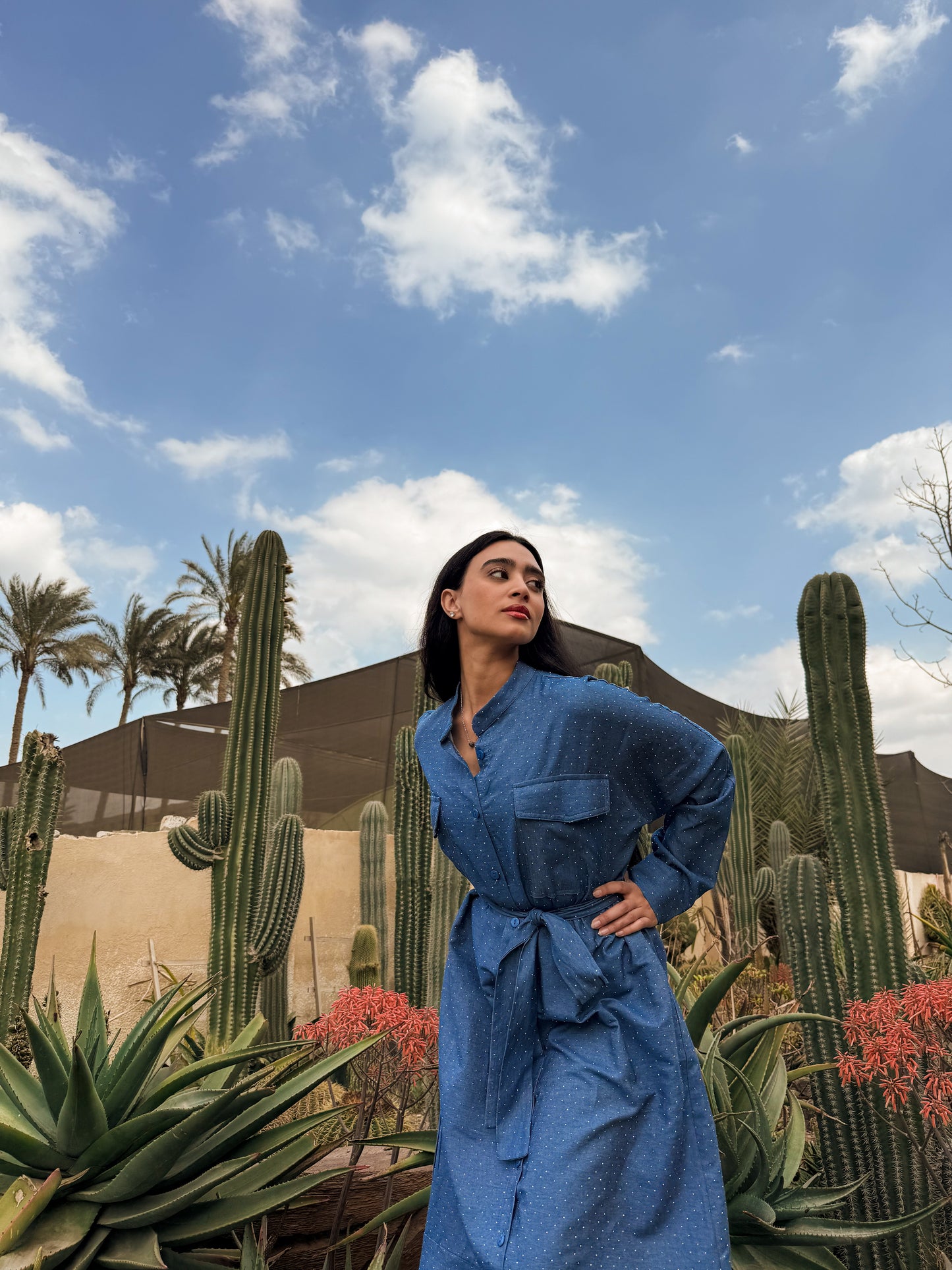 Sapphire Sands Dress