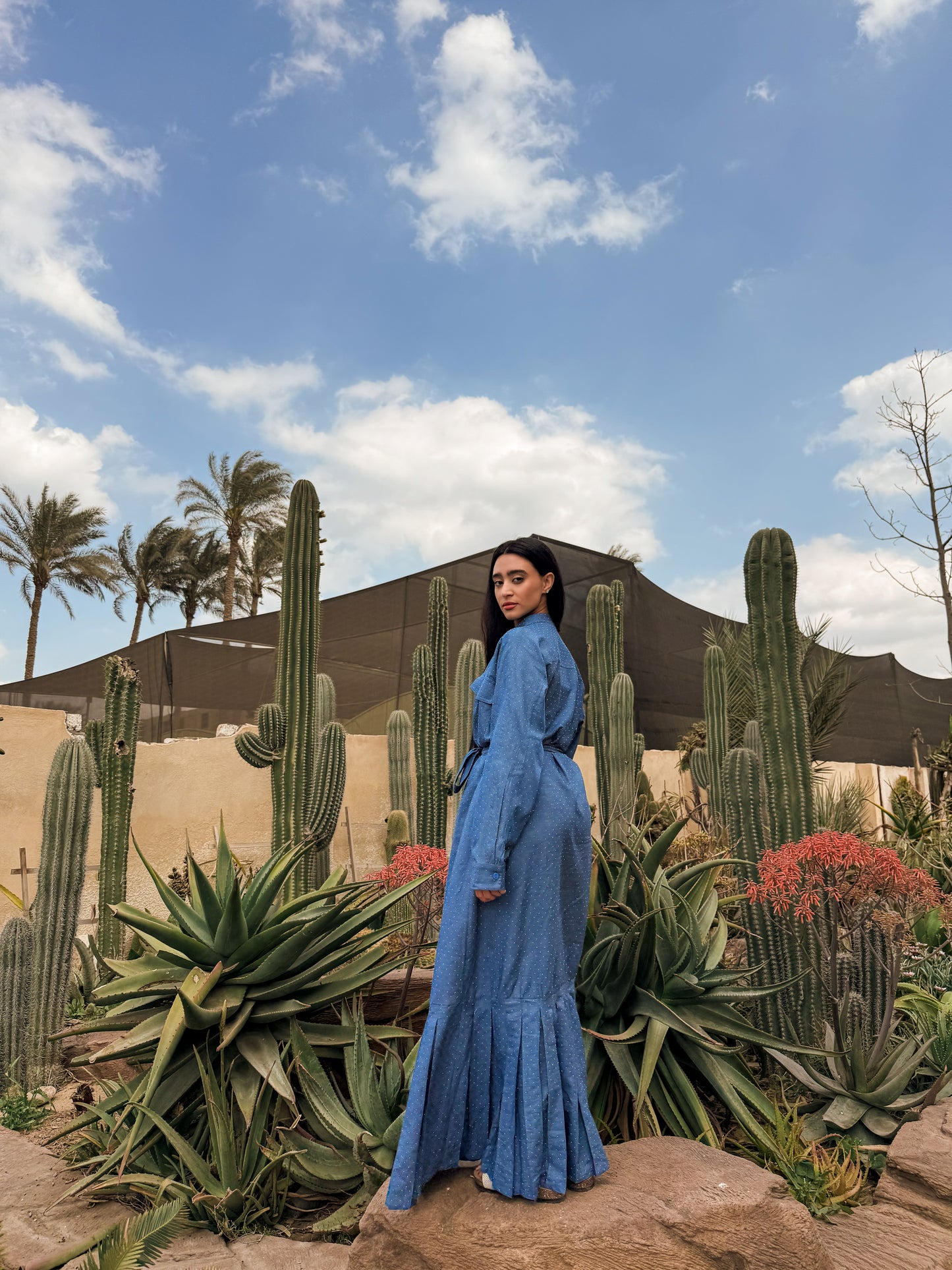 Sapphire Sands Dress